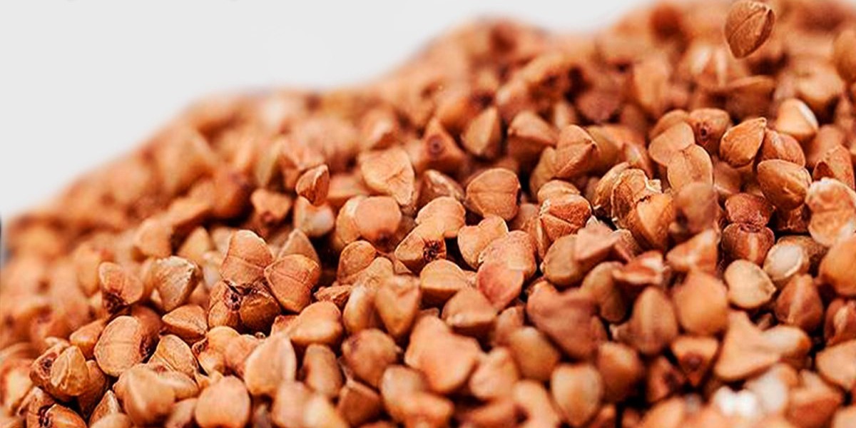 Коренченко Александр Викторович